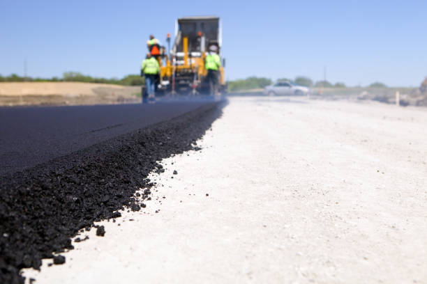 Best Custom Driveway Pavers  in Oral City, FL